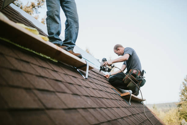 Best Shingle Roofing Installation  in Port Gibson, MS